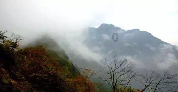 小猫钓鱼游戏龙王版有船